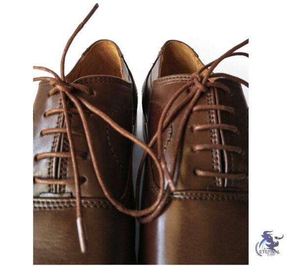 Step Up Your Style with Eternal Brown Casual Leather Shoes